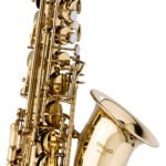 Stagg WSAS215S sa koferom - Image 3