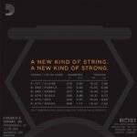 ŽICE ZA EL. GIT. D'Addario NYXL 10-46 - Image 2