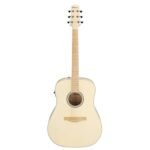 Ibanez AAD77M1E-OAW