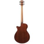 Ibanez AEGB24E-MHS - Image 2