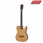 GITARA EL.-AK. EW3000CN James Neligan