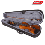 VIOLINA SET STAGG VN3/4