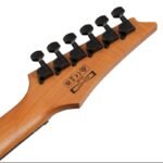 Ibanez GRGR221FA-TDK - Image 5