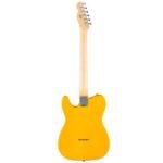 Fender Standard Tele MN BTB - Image 2