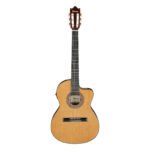 Ibanez GA5TCE-AM