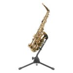 Stagg WISA30 2