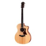 Taylor 14ce