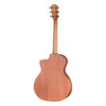 Taylor 14ce 2