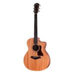 Taylor 24ce