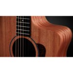 Taylor 24ce 4