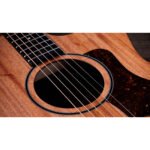 Taylor 24ce 5