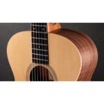 Taylor Academy 12e-N 5