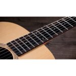 Taylor Academy 12e-N 7