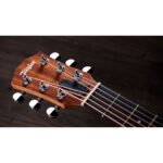 Taylor GS Mini Sapele 3