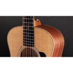 Taylor GS Mini Sapele 4