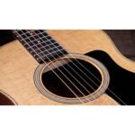 Taylor GS Mini Sapele 5