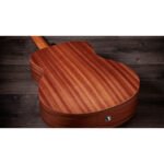 Taylor GS Mini Sapele 6